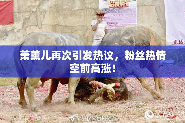 萧薰儿再次引发热议，粉丝热情空前高涨！