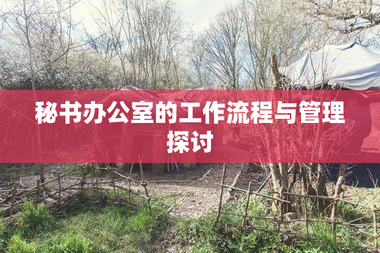 秘书办公室的工作流程与管理探讨