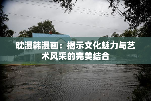 耽漫韩漫画：揭示文化魅力与艺术风采的完美结合