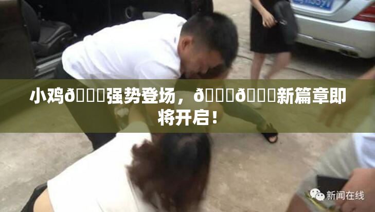 小鸡🐔强势登场，🍑🔞新篇章即将开启！