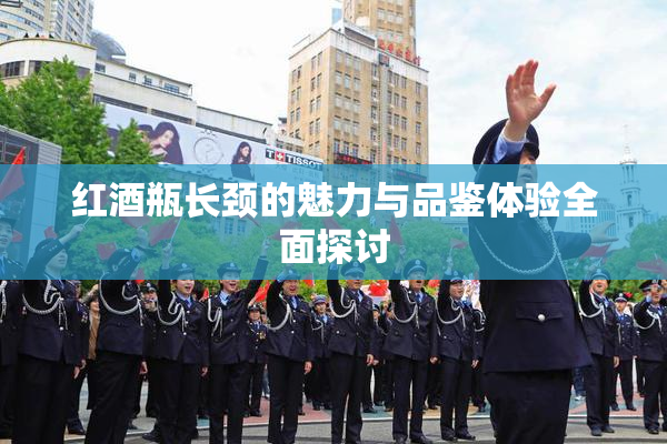 红酒瓶长颈的魅力与品鉴体验全面探讨