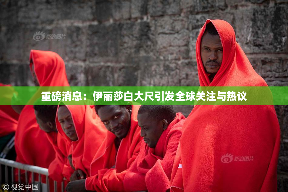 重磅消息：伊丽莎白大尺引发全球关注与热议
