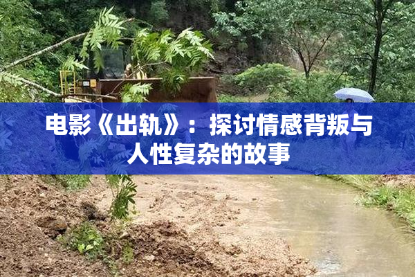 电影《出轨》：探讨情感背叛与人性复杂的故事