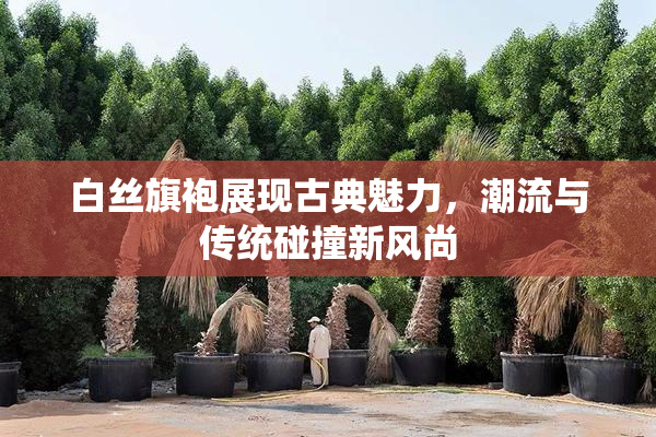 白丝旗袍展现古典魅力，潮流与传统碰撞新风尚