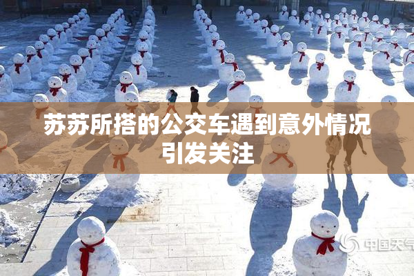 苏苏所搭的公交车遇到意外情况引发关注