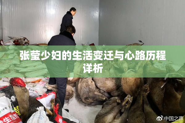 张莹少妇的生活变迁与心路历程详析