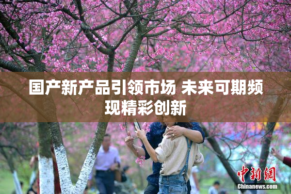 国产新产品引领市场 未来可期频现精彩创新