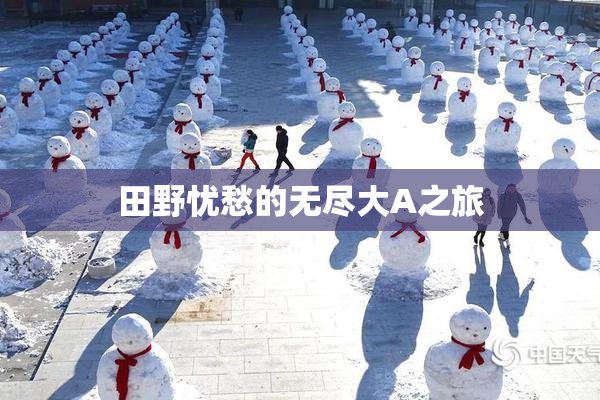田野忧愁的无尽大A之旅
