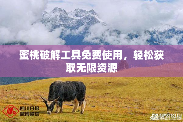 蜜桃破解工具免费使用，轻松获取无限资源