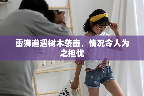 雷狮遭遇树木袭击，情况令人为之担忧