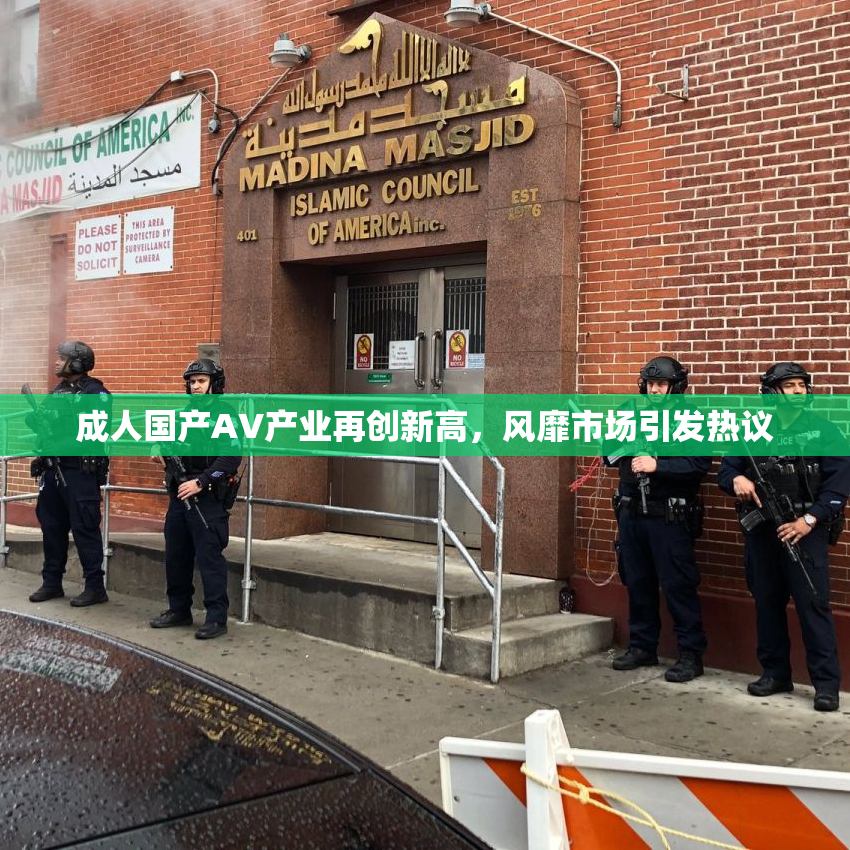 成人国产AV产业再创新高，风靡市场引发热议