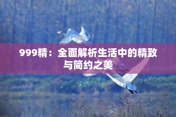 999精：全面解析生活中的精致与简约之美