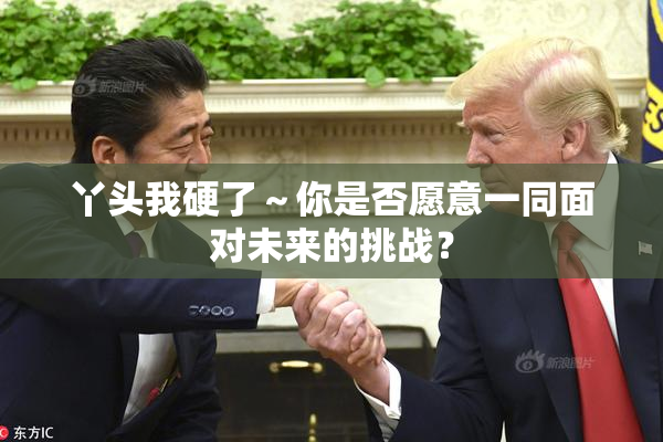 丫头我硬了～你是否愿意一同面对未来的挑战？