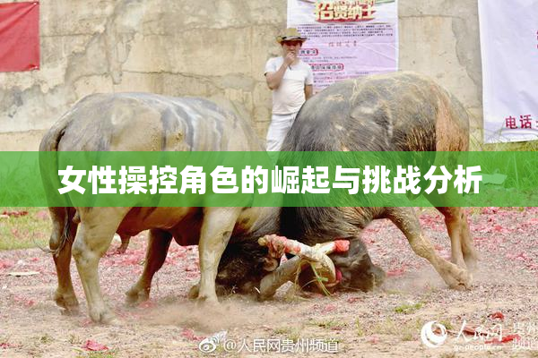 女性操控角色的崛起与挑战分析