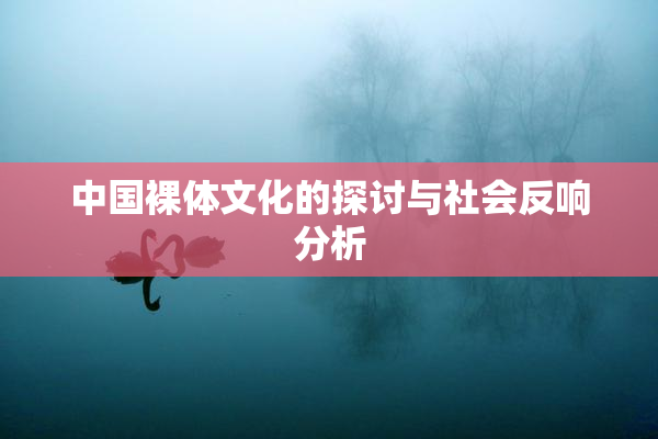 中国裸体文化的探讨与社会反响分析