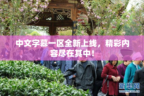 中文字幕一区全新上线，精彩内容尽在其中！