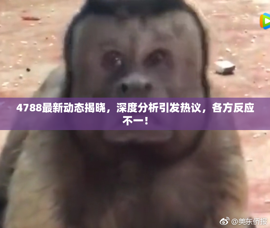 4788最新动态揭晓，深度分析引发热议，各方反应不一！