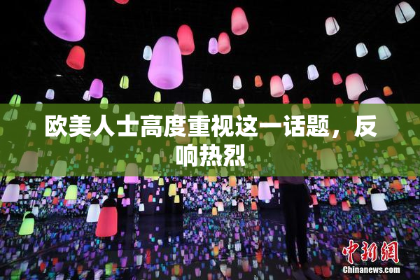 欧美人士高度重视这一话题，反响热烈