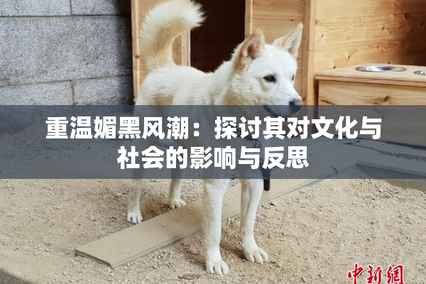 重温媚黑风潮：探讨其对文化与社会的影响与反思