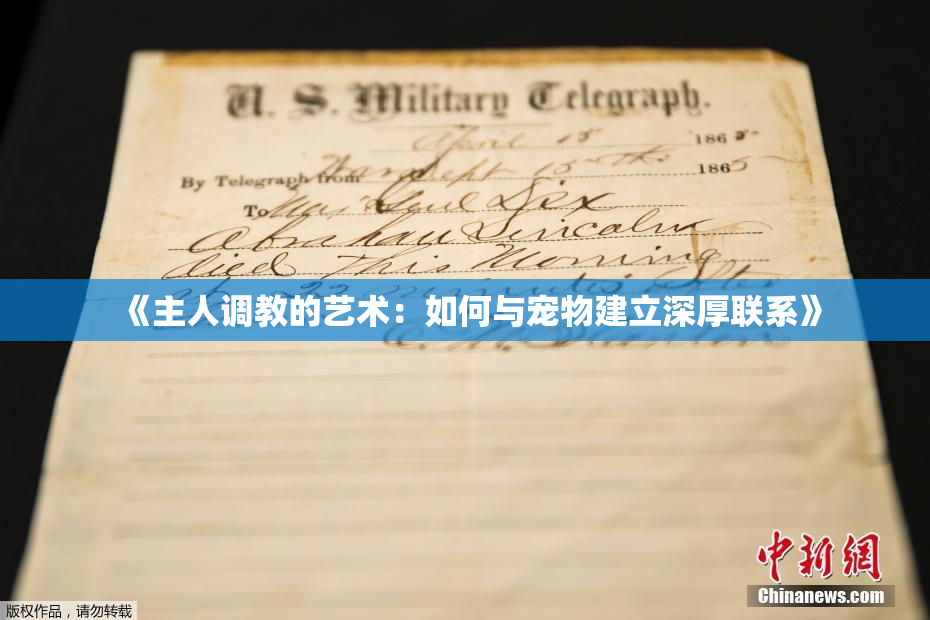 《主人调教的艺术：如何与宠物建立深厚联系》
