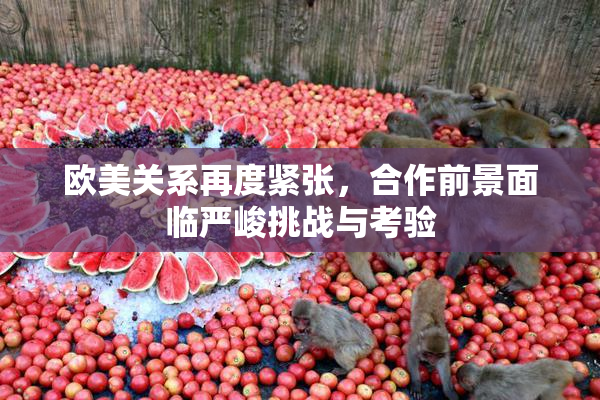欧美关系再度紧张，合作前景面临严峻挑战与考验