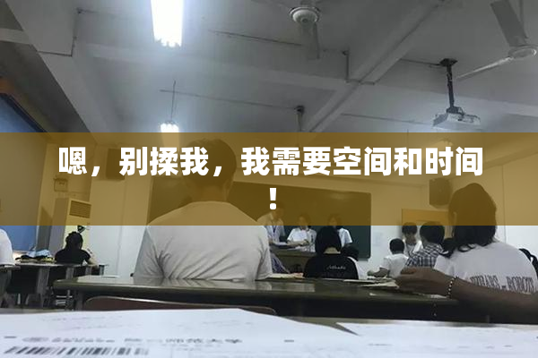 嗯，别揉我，我需要空间和时间！
