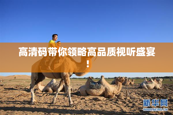 高清码带你领略高品质视听盛宴！