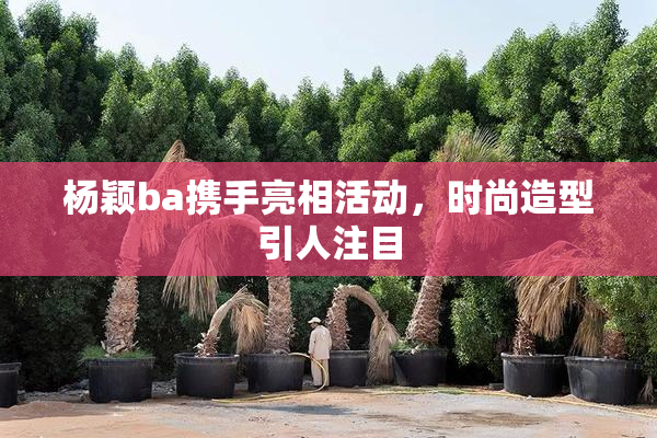 杨颖ba携手亮相活动，时尚造型引人注目
