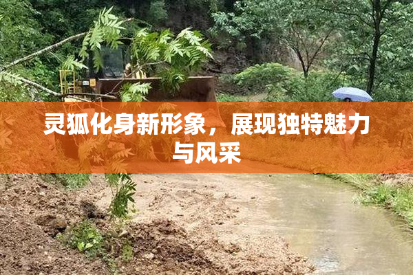 灵狐化身新形象，展现独特魅力与风采