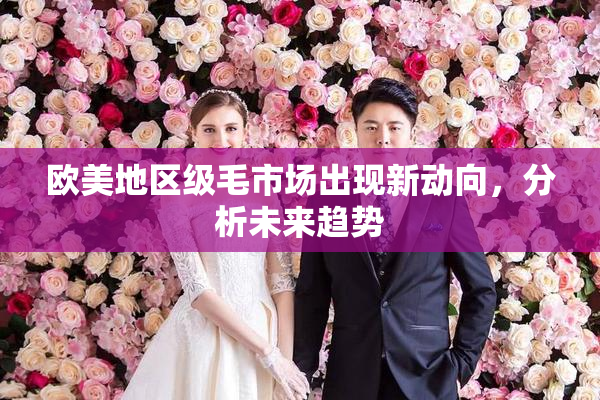 欧美地区级毛市场出现新动向，分析未来趋势