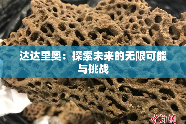 达达里奥：探索未来的无限可能与挑战