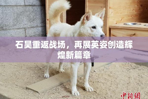 石昊重返战场，再展英姿创造辉煌新篇章