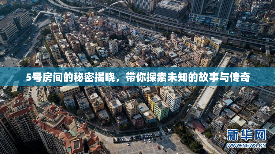 5号房间的秘密揭晓，带你探索未知的故事与传奇