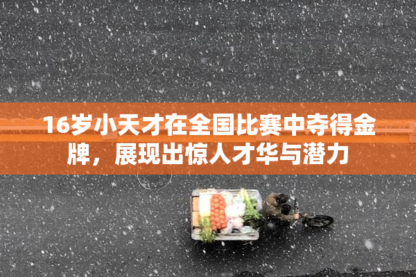 16岁小天才在全国比赛中夺得金牌，展现出惊人才华与潜力