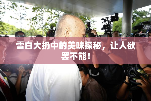 雪白大扔中的美味探秘，让人欲罢不能！