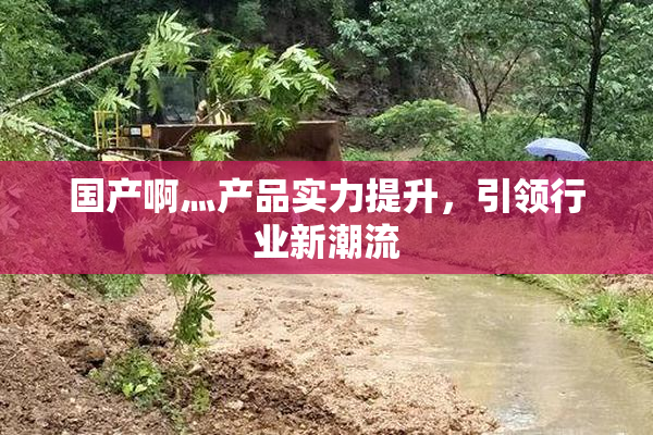 国产啊灬产品实力提升，引领行业新潮流