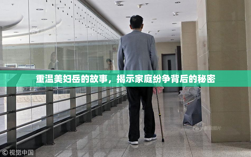 重温美妇岳的故事，揭示家庭纷争背后的秘密