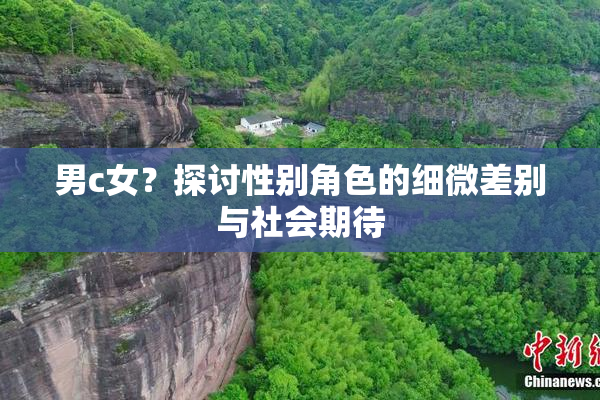 男c女？探讨性别角色的细微差别与社会期待