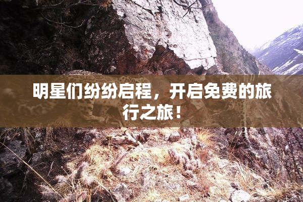 明星们纷纷启程，开启免费的旅行之旅！