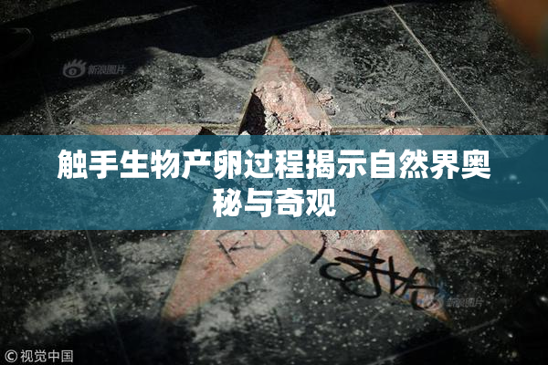 触手生物产卵过程揭示自然界奥秘与奇观