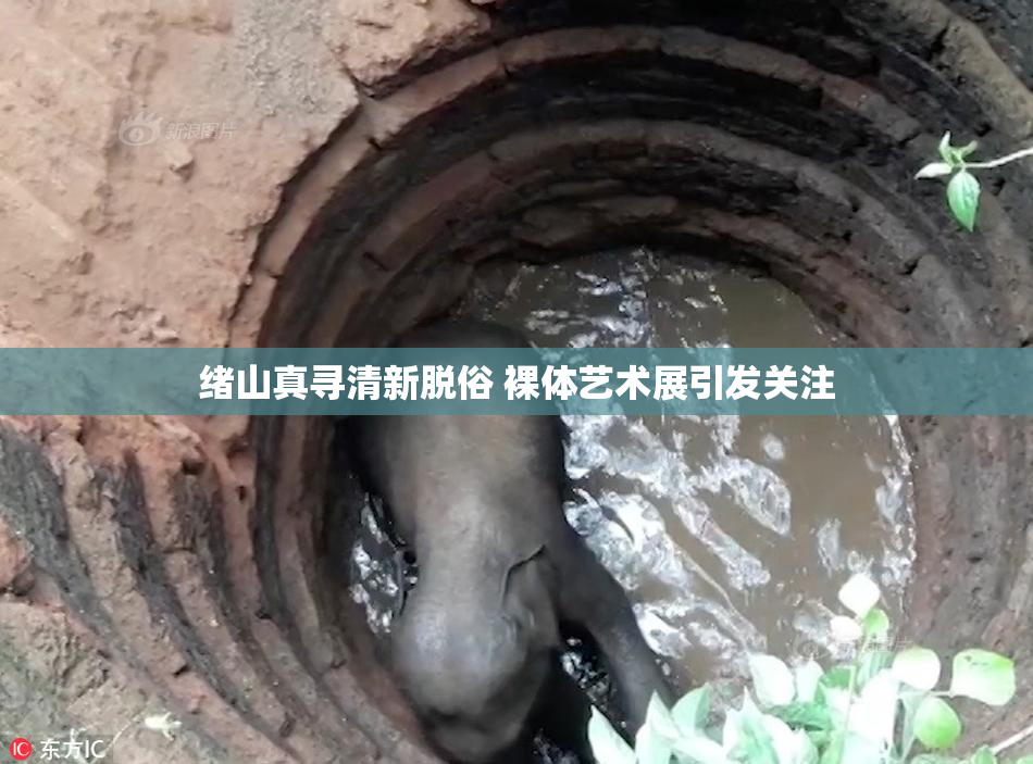 绪山真寻清新脱俗 裸体艺术展引发关注