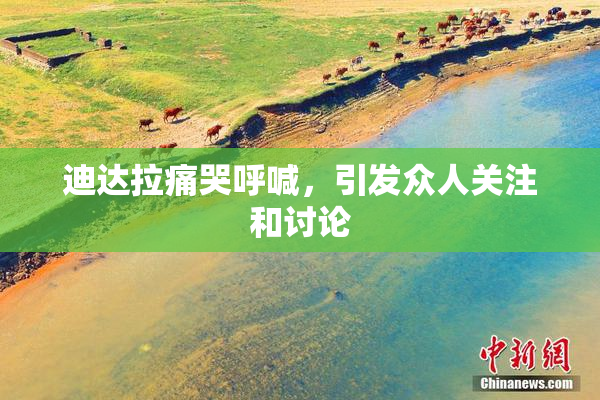 迪达拉痛哭呼喊，引发众人关注和讨论