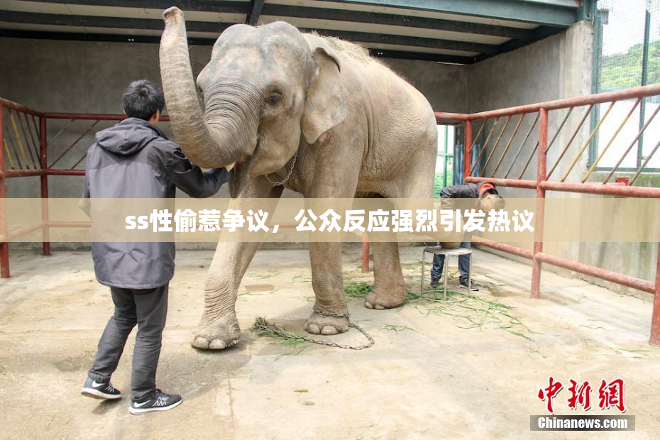 ss性偷惹争议，公众反应强烈引发热议