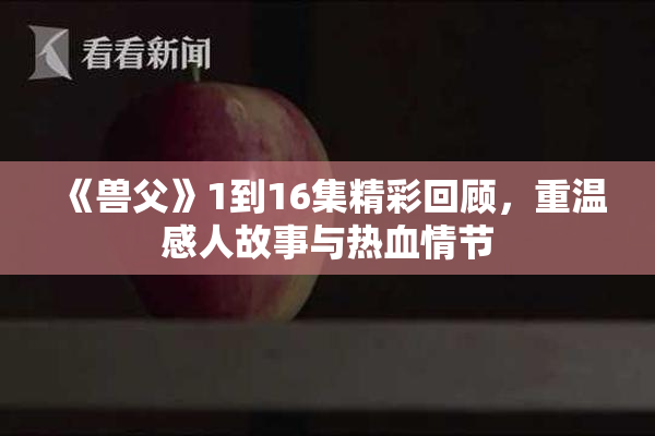 《兽父》1到16集精彩回顾，重温感人故事与热血情节