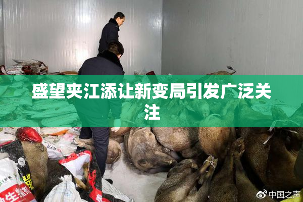 盛望夹江添让新变局引发广泛关注