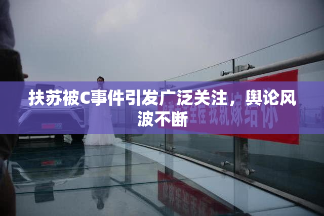 扶苏被C事件引发广泛关注，舆论风波不断