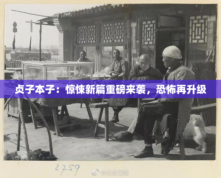 贞子本子：惊悚新篇重磅来袭，恐怖再升级