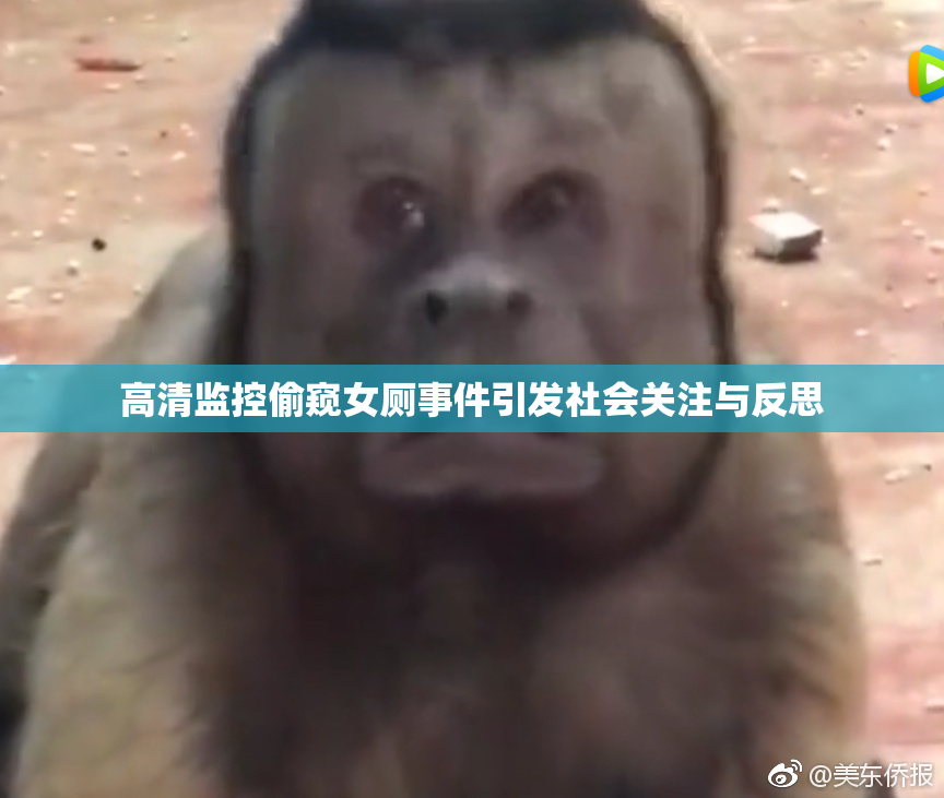 高清监控偷窥女厕事件引发社会关注与反思