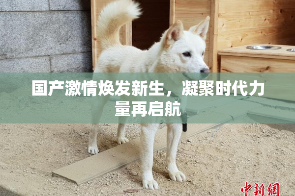 国产激情焕发新生，凝聚时代力量再启航