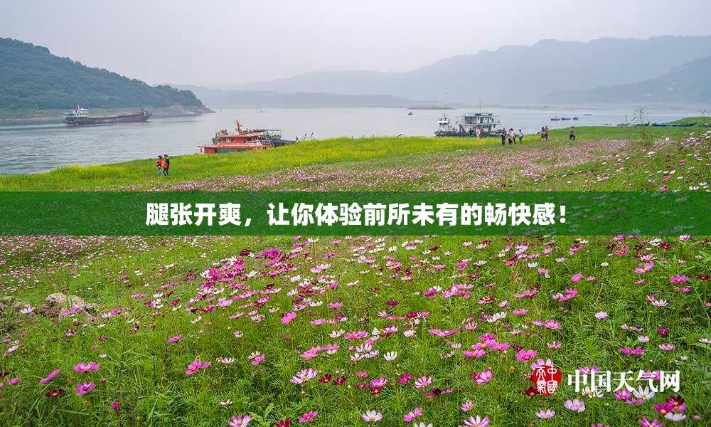 腿张开爽，让你体验前所未有的畅快感！